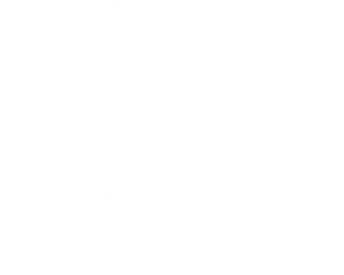 Pet friendly service Garden Route